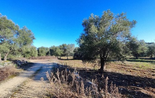 Vicinissimo Al Centro Abitato