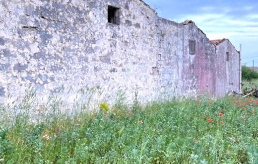 Antica Masseria